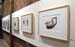 Gallery11